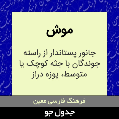 تصویری از موش