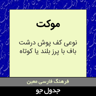 تصویری از موکت