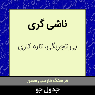 تصویری از ناشی گری