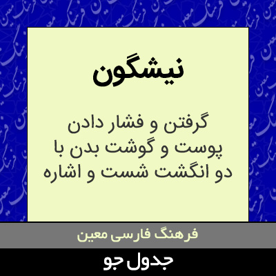 تصویری از نیشگون